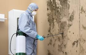 Why You Should Choose Our Mold Remediation Services in Rutgers University Livingston Campus, NJ